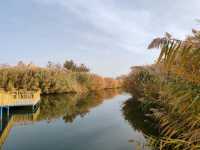Autumn Scenery of Xihai Fishing Harbor's Water Town