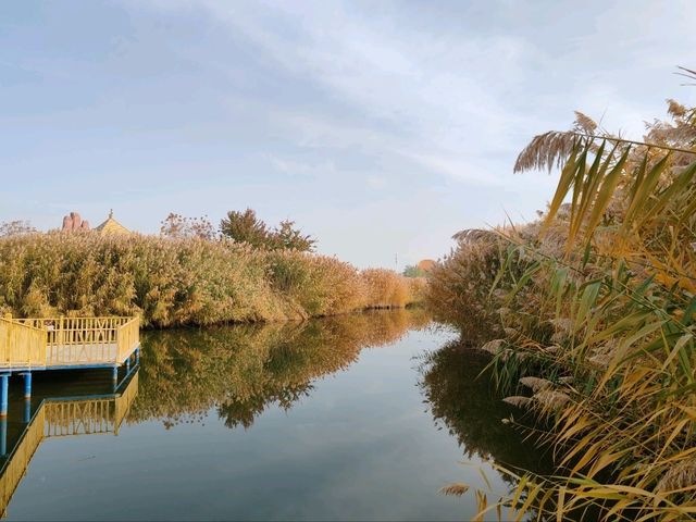 Autumn Scenery of Xihai Fishing Harbor's Water Town