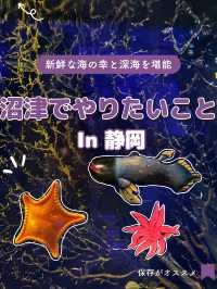 【静岡】沼津でやりたいことをまとめてみた📖