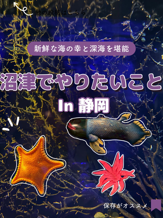 【静岡】沼津でやりたいことをまとめてみた📖 【静岡】沼津でやりたいことをまとめてみた📖