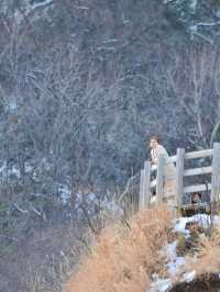 หุบเขานรกจิโกกุดานิ (Jigokudani )