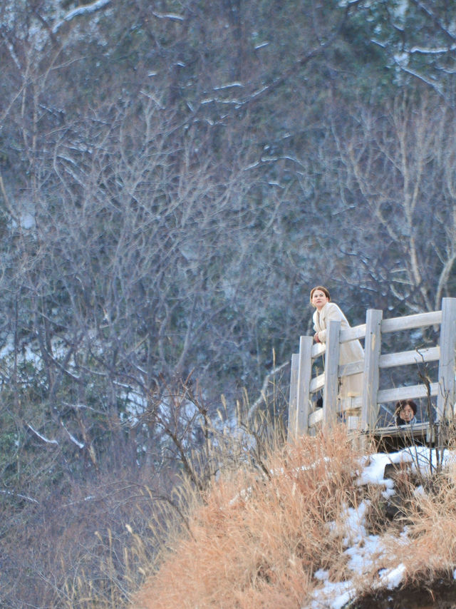 หุบเขานรกจิโกกุดานิ (Jigokudani )