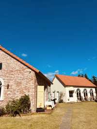 Jeju Ae-in Tangerine Farm (제주에인감귤밭) – An Immersive Citrus Sanctuary