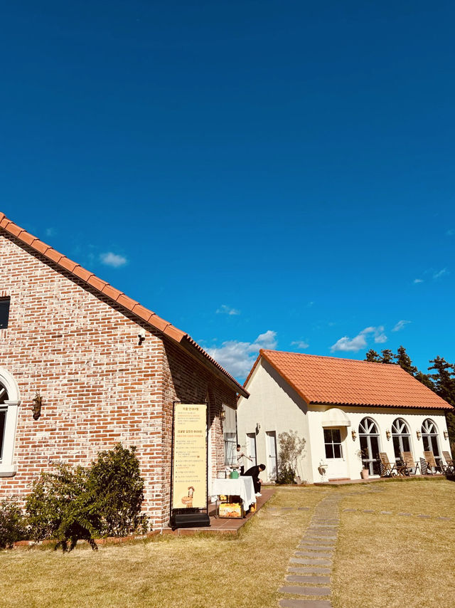 Jeju Ae-in Tangerine Farm (제주에인감귤밭) – An Immersive Citrus Sanctuary