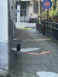 목포 여행 코스 🍃