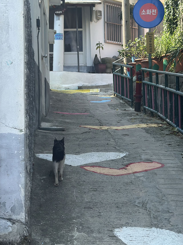 목포 여행 코스 🍃