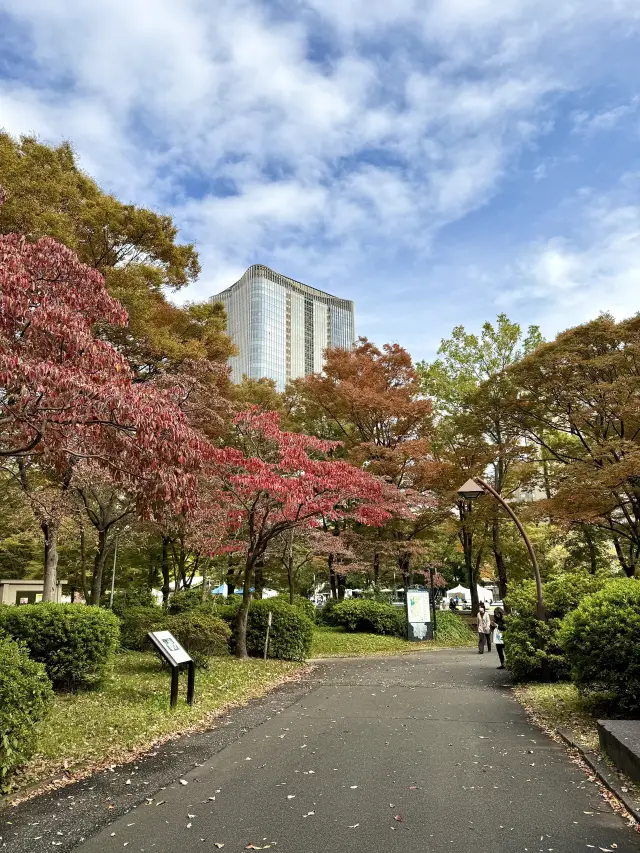 Autumn Colors at Hibiya Park 🍂