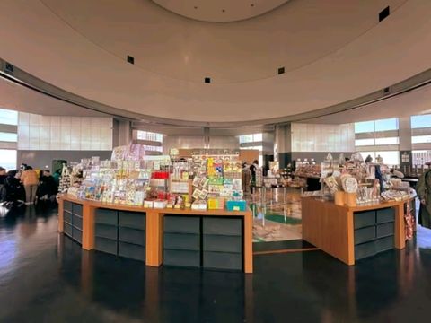 🏙️ Tokyo Metropolitan Government Building South Observatory — A Sky-High View for Free