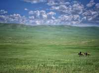 Hustai National Park - Fantastic animal viewing.