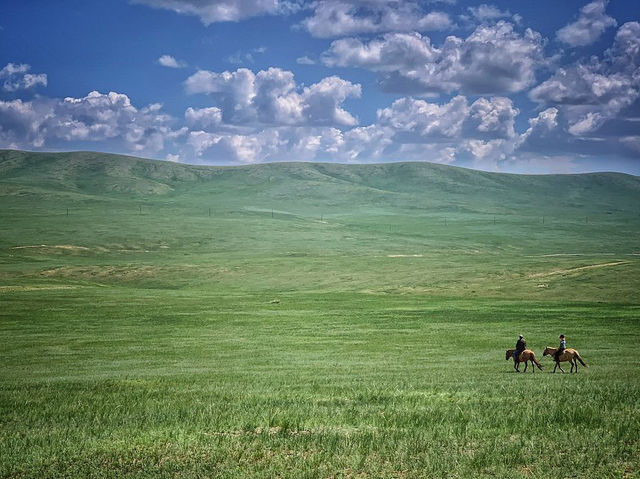 Hustai National Park - Fantastic animal viewing.