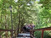 The Bright Fuzhou Shan Park in Da'an District, Taipei City, Taiwan