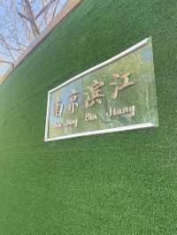 南京：六朝煙水裡的悲歡史詩，梧桐深處的涅槃重生