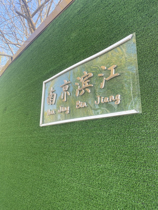 南京：六朝煙水裡的悲歡史詩，梧桐深處的涅槃重生