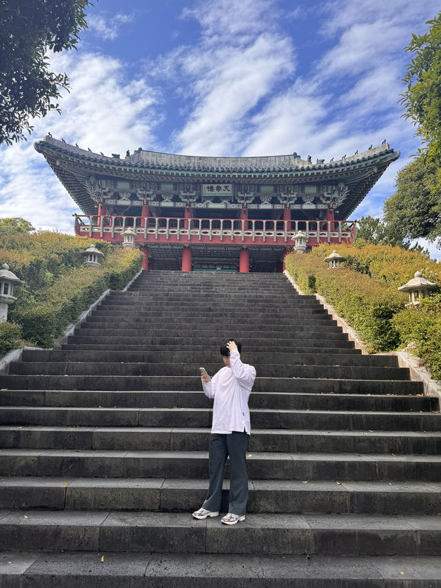 Temple Trails in Fall🍁 Temple Trails in Fall🍁