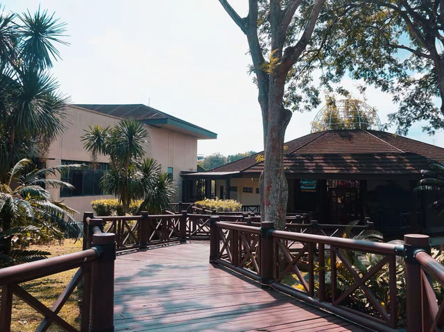 Treasures by the Wetlands: Taman Wetlands Souvenir Shop 🛍️ Treasures by the Wetlands: Taman Wetlands Souvenir Shop 🛍️