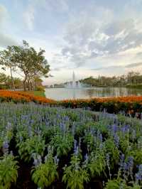 เดินชมดอกไม้งาม เทศกาลพรรณไม้เมืองหนาว สวนหลวงร.9