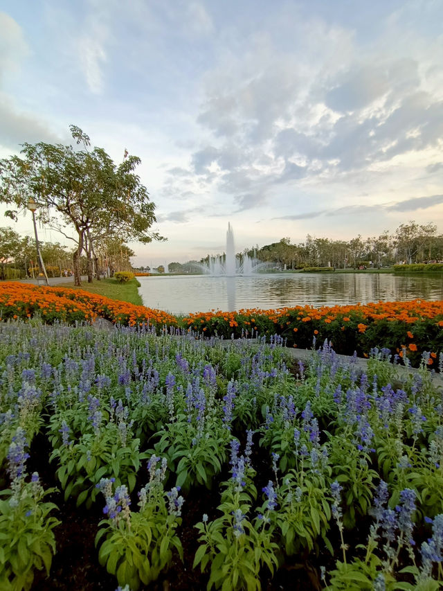 เดินชมดอกไม้งาม เทศกาลพรรณไม้เมืองหนาว สวนหลวงร.9