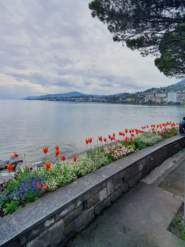 Lake Geneva: Switzerland’s Dreamy Escape You’ll Never Forget 💎🌄