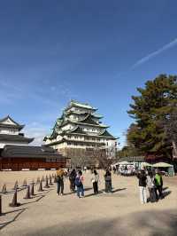 冬日暖陽照亮金鯱:名古屋城聖誕一日遊的奇蹟與浪漫