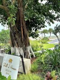 珠海的超浪漫海景餐廳💕（Chill House萃嵐）踏入了愛麗絲夢幻仙境