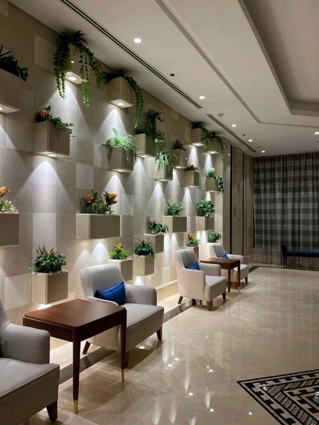 沙漠中最舒適五星下榻地 沙漠中最舒適五星下榻地