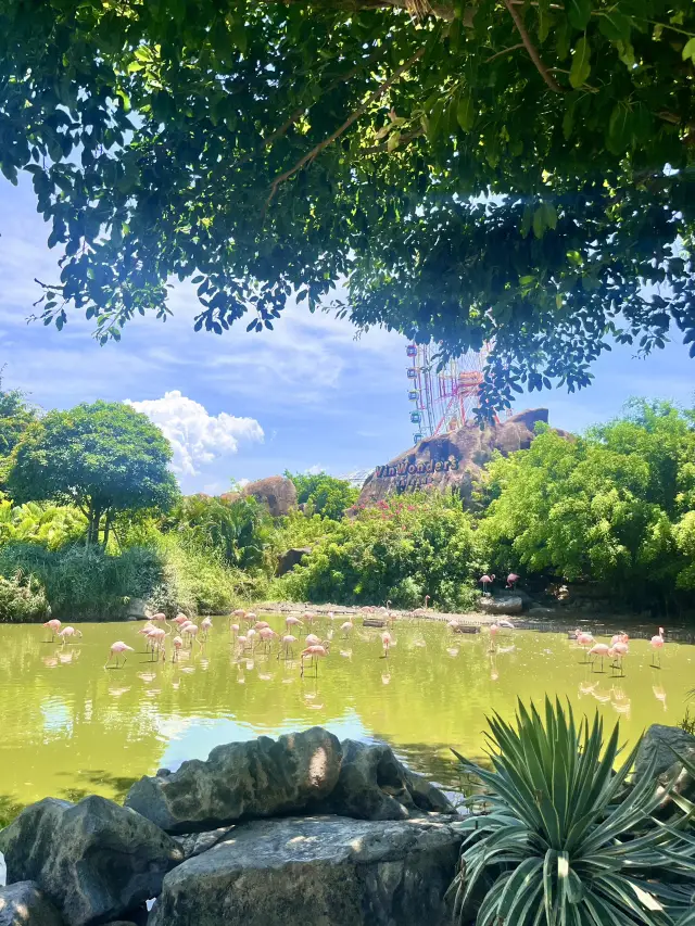 Nha Trang's Disneyland? Top 3 Instagram-worthy Spots at VinWonders