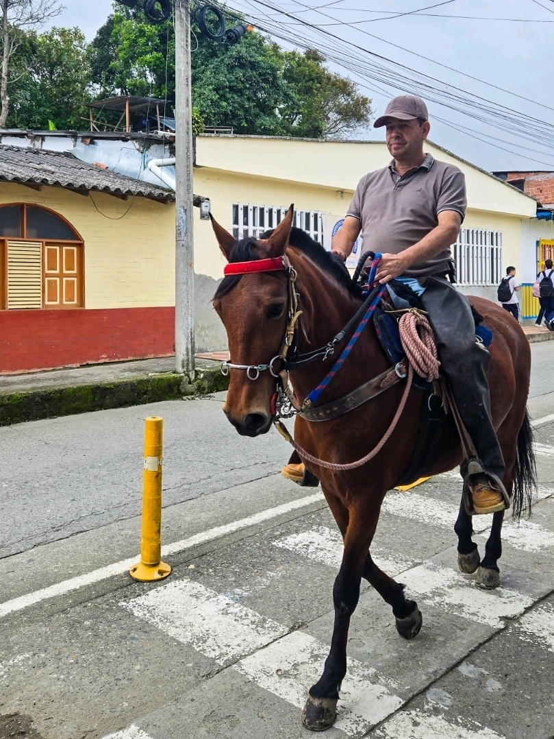 窮遊南美🇨🇴哥倫比亞科科拉谷徒步⛰️/騎馬🐴路線全攻略