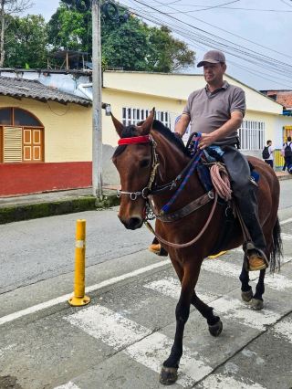 Complete Guide to Hiking and Horseback Riding in Cocora Valley, Colombia