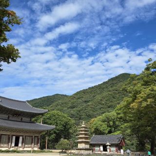Muryangsa Temple 무량사