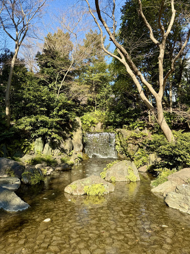 A Japanese Garden Designed for Reflection | Trip.com Tokyo