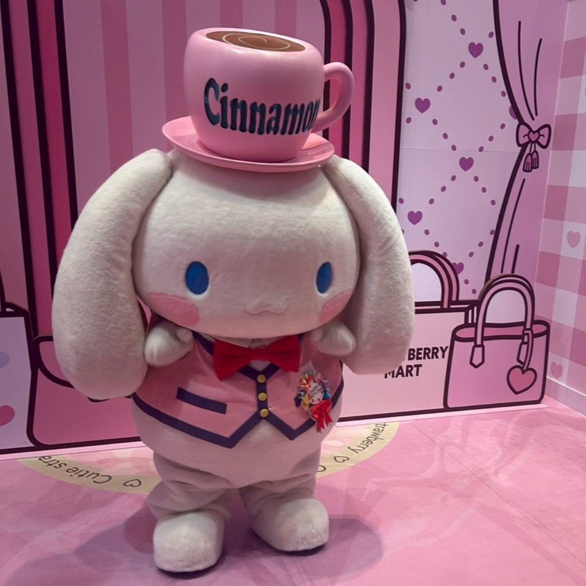 Báo cáo chuyến đi chơi ngày thường cùng các con ✍️ Chinh phục Sanrio Puroland!! ️ Trọng tâm chính là gặp gỡ các nhân vật hoạt hình