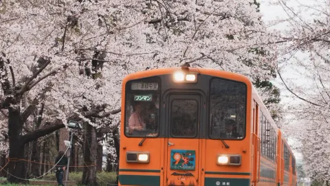 Aomori City is an Absolute Must-Visit—You'll Regret Missing It! — traveler post in Hakodate