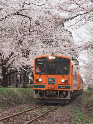 Aomori City is an Absolute Must-Visit—You'll Regret Missing It!