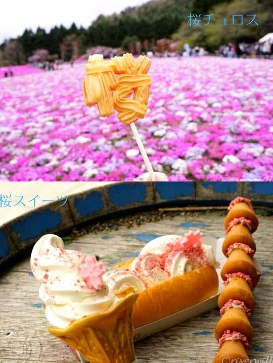 Yamanashi] The 