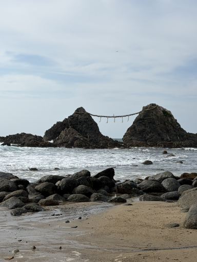 Fukuoka Sightseeing] A Spectacular Torii Gate Drawing Crowds