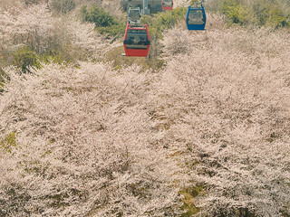 Yeosu 2-Day Getaway – The Comprehensive Travel Guide