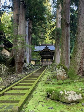 永平寺（福井県） — 樹齢700年の古杉の森で禅の静寂に浸る。