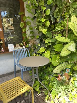 [Solo Female Travel in Bangkok] Blown Away by a New Kind of White Bread Sandwich! A Hidden Salad Cafe in Din Daeng!