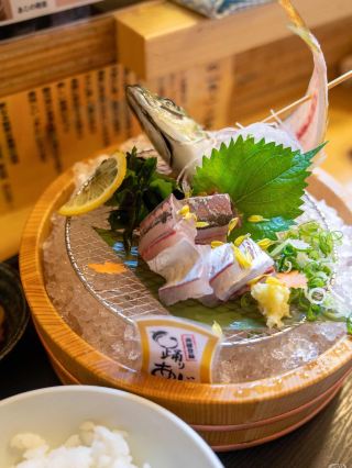 静岡県 沼津市・鮮度抜群！踊りアジ専門「あした葉」でプリプリのアジを食べよう。