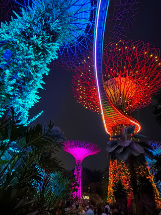 🇸🇬 Part of Singapore in one day — on foot