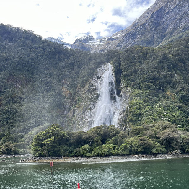 【NZ】ミルフォードサウンドへ🚢