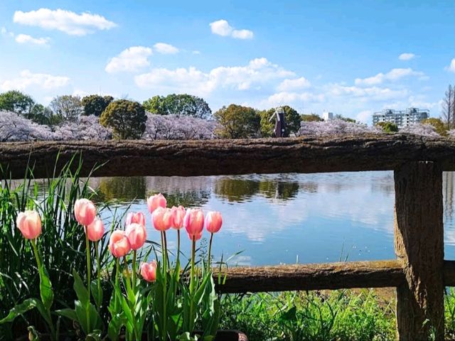浮間公園