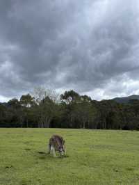 Nature beauty near Canberra
