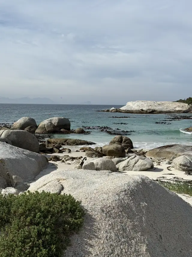 Best place to spot the cutest penguins