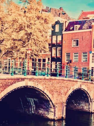 Canal‑Side Contemplation: Watching the World Cup over Aged Gouda, Mustard & Toast at Café 't Smalle,