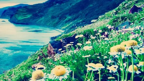  Ireland Wicklow Mountains Glendalough Upper Lake to Spinc boardwalk loop — traveler post in Bray