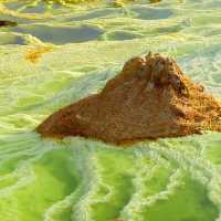 my wonderful trip to danakil depression 
