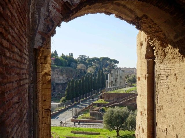 The Colosseum: Window to Ancient Spectacles