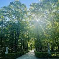 【ポーランド🇵🇱/ワジェンキ宮殿と美しい庭園】