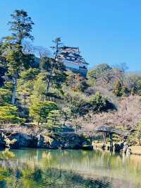【滋賀県/玄宮園】